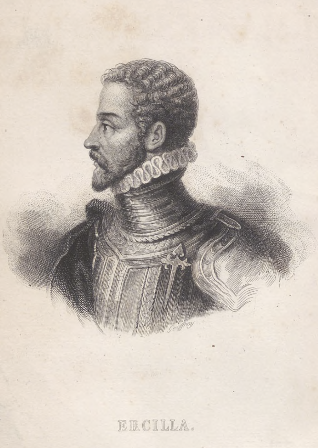 Imagen de Alonso de Ercilla (y Zúñiga)