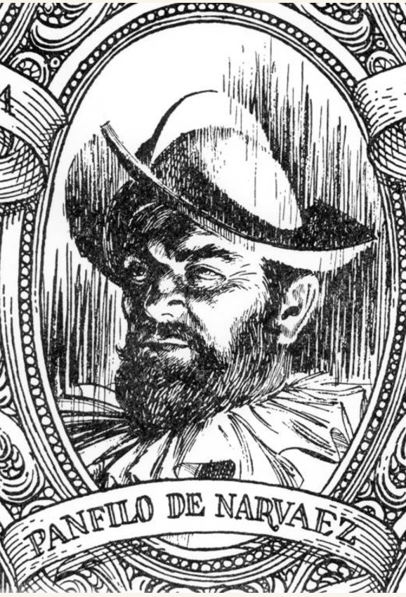 Imagen de Pánfilo de Narváez