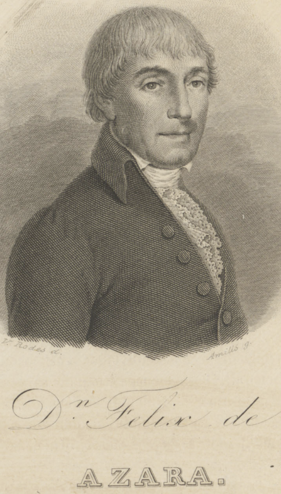 Imagen de Félix (Francisco José Pedro) de Azara y Perera