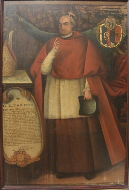 Imagen de Pedro Tamarón y Romeral